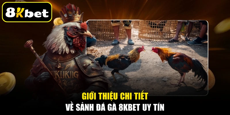 Giới thiệu chi tiết về sảnh đá gà 8KBET uy tín