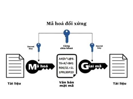 Tầm quan trọng của Mã Hóa Dữ Liệu Tài Khoản 8KBet